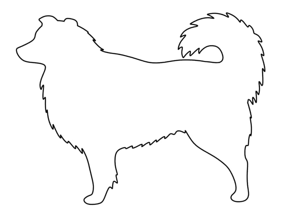 Australian Shepherd Tracing Shape Pdf Free Vectors
